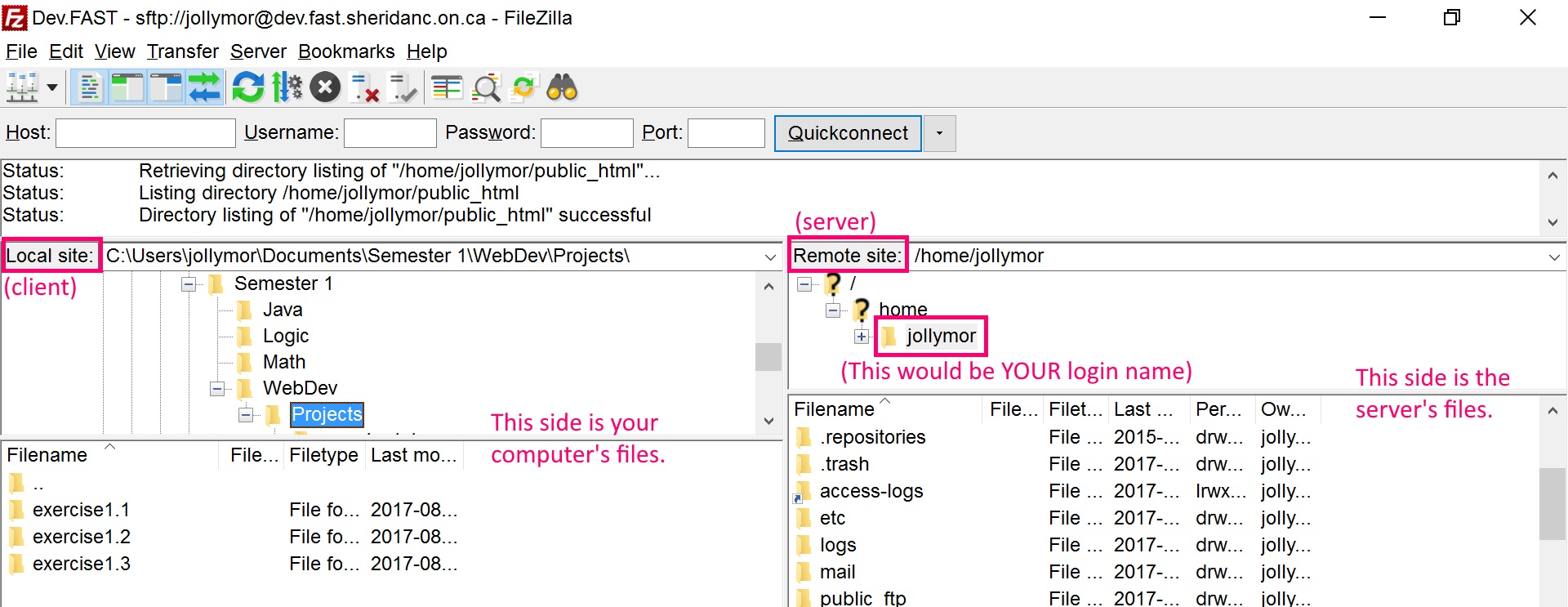 FileZilla showing the local and remote files