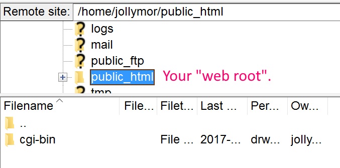the public_html directory