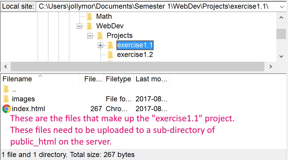the files in a web project