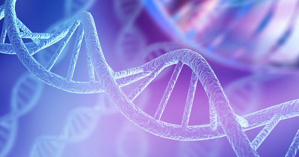 DNA and microbial structures representing the human microbiome