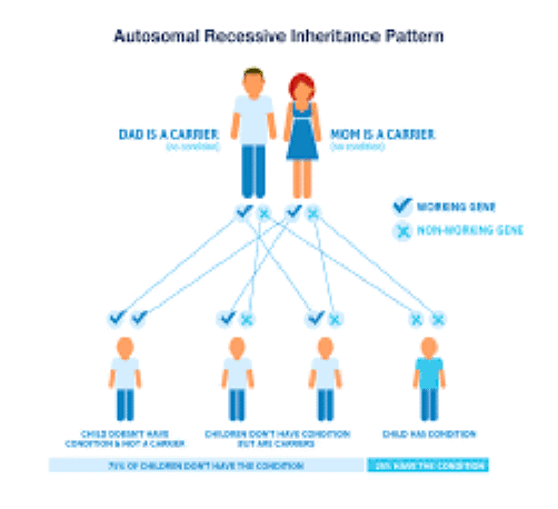 genetic testing inheretance pattern picture