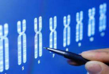 Genetic screening: ethical issues