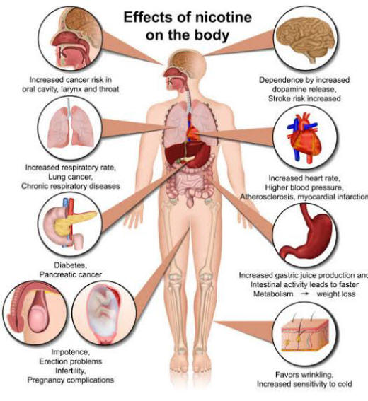 health effects of smoking