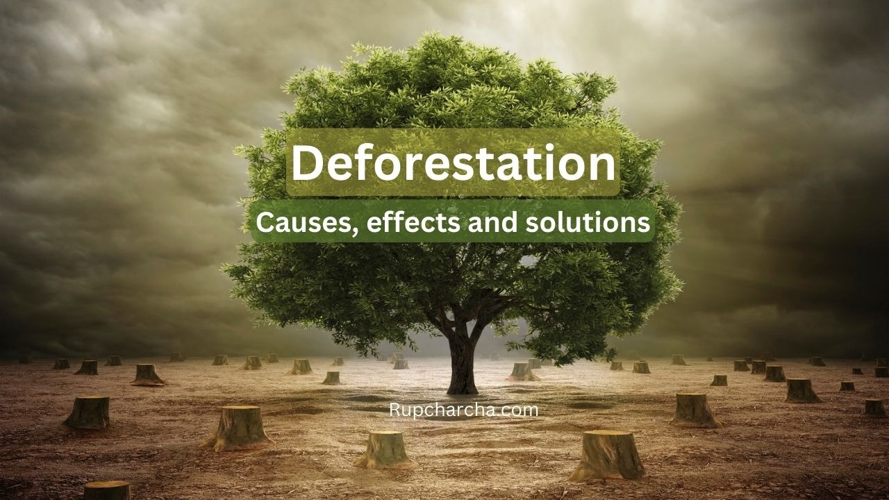 Deforestation