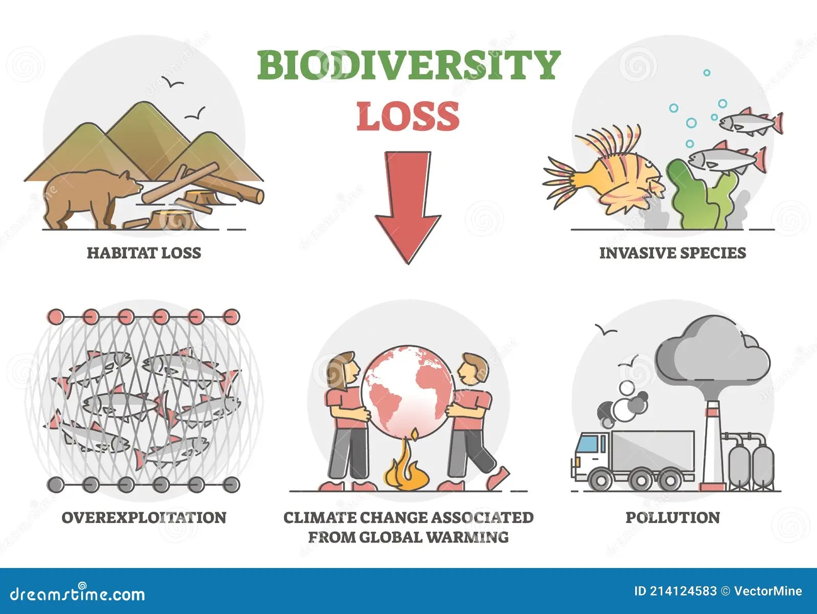 Impact of Deforestation