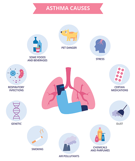 Asthma Causes