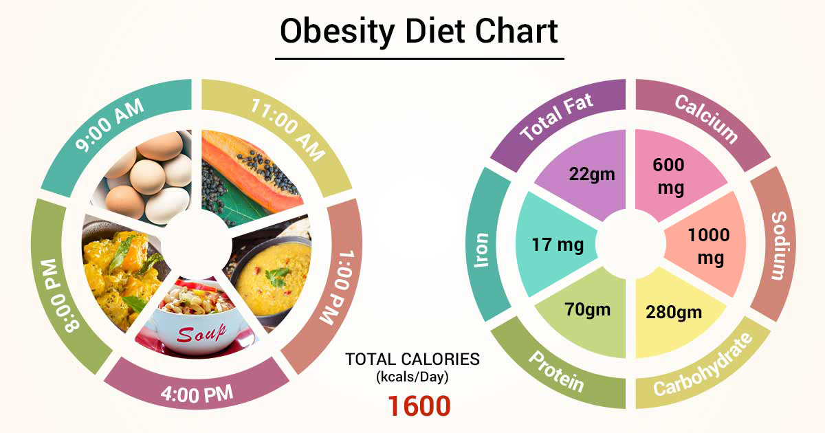 Meal timing chart for an obesity diet plan