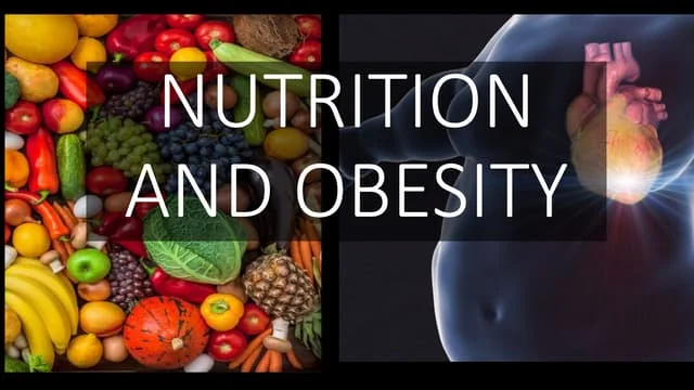 Nutrition and obesity relationship