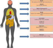 Bulimia consequences