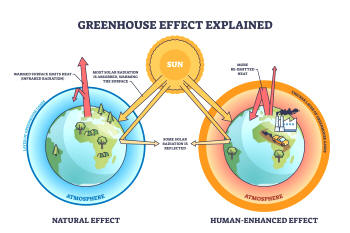 Greenhouse