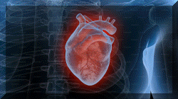 Heart X-Ray Exam
