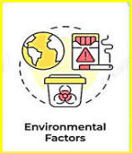 Environment Factors
