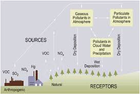 Acid Rain by Fossil Fuels