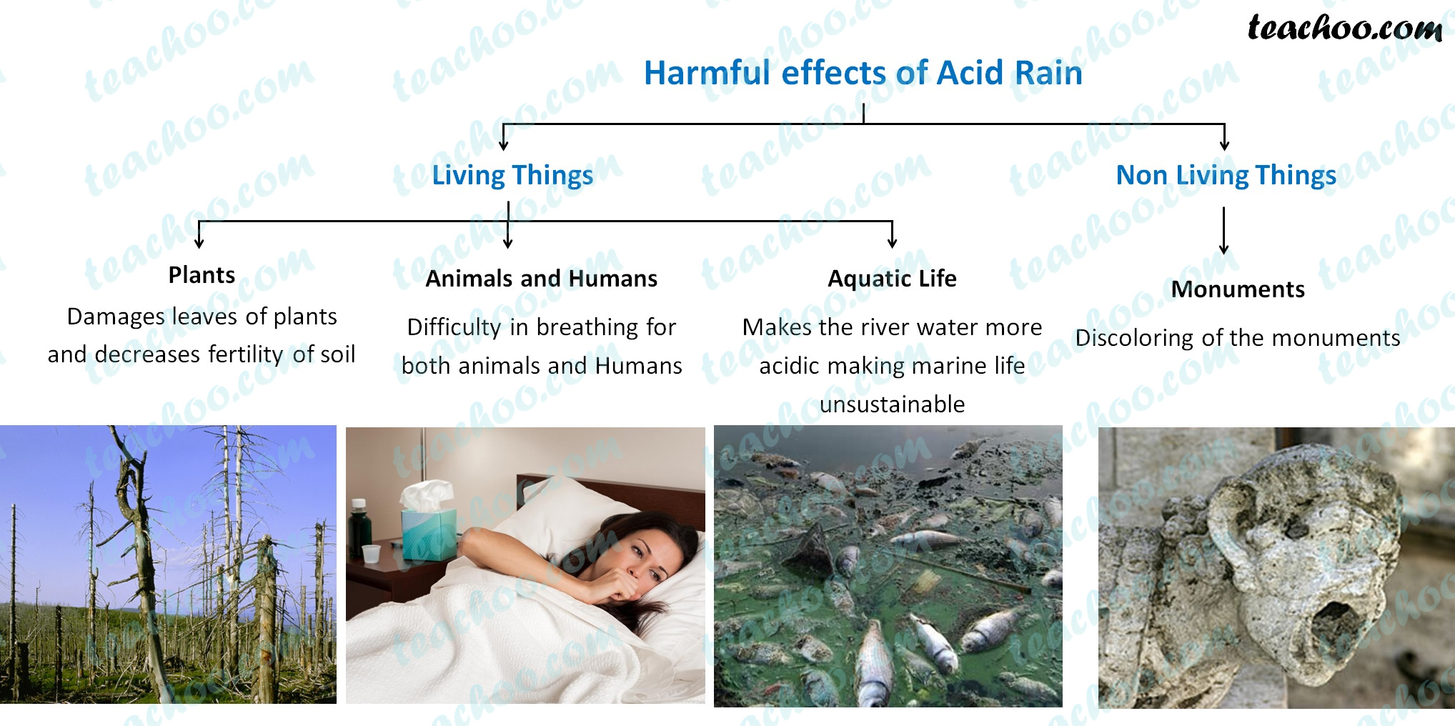 Effects of Acid rain