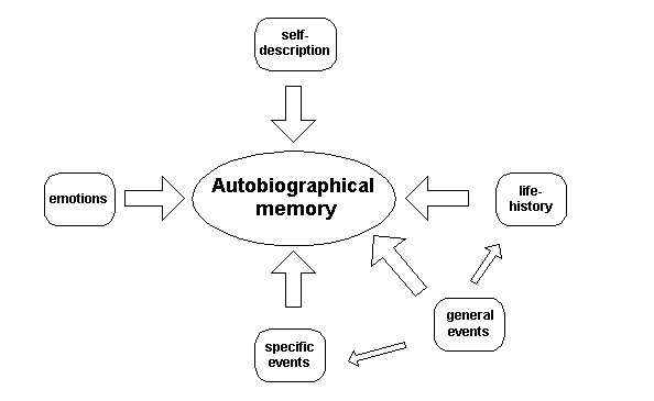 Autobiographical Memory