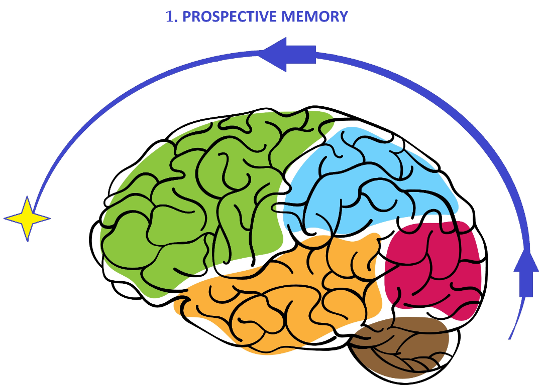 Prospective Memory