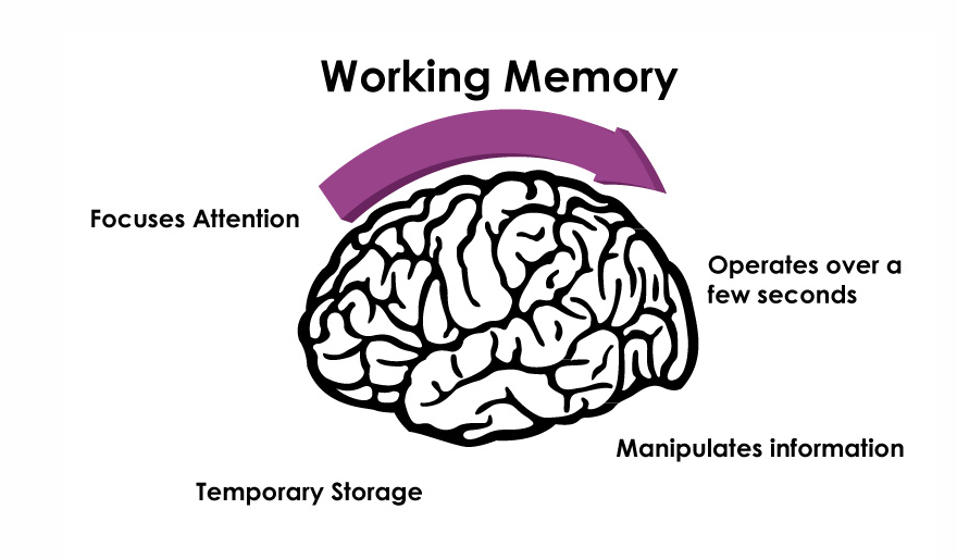 Working Memory