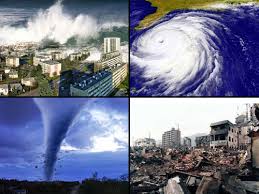 Natural Disastes
