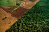 Tropical Deforestation Slowed in 2017—To the Second Worst Total Ever