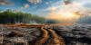 Global deforestation threatens Earths vital forests disrupting climate ...