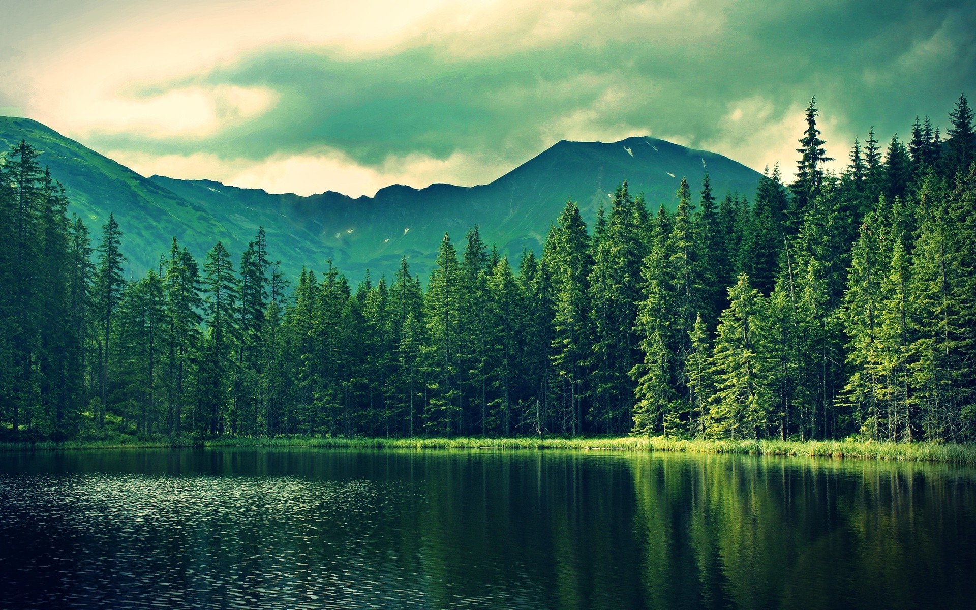 Greenery