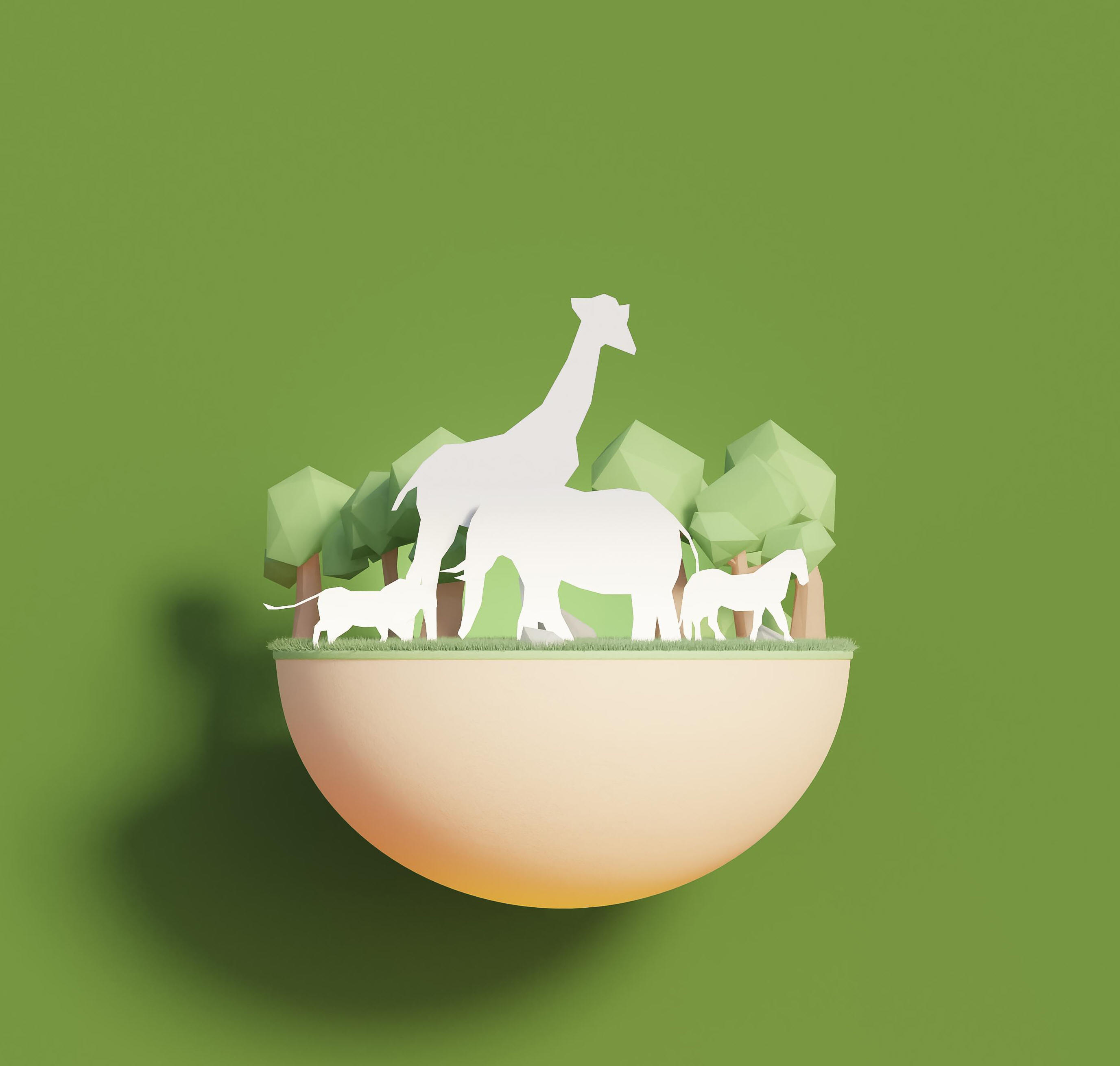 Animal