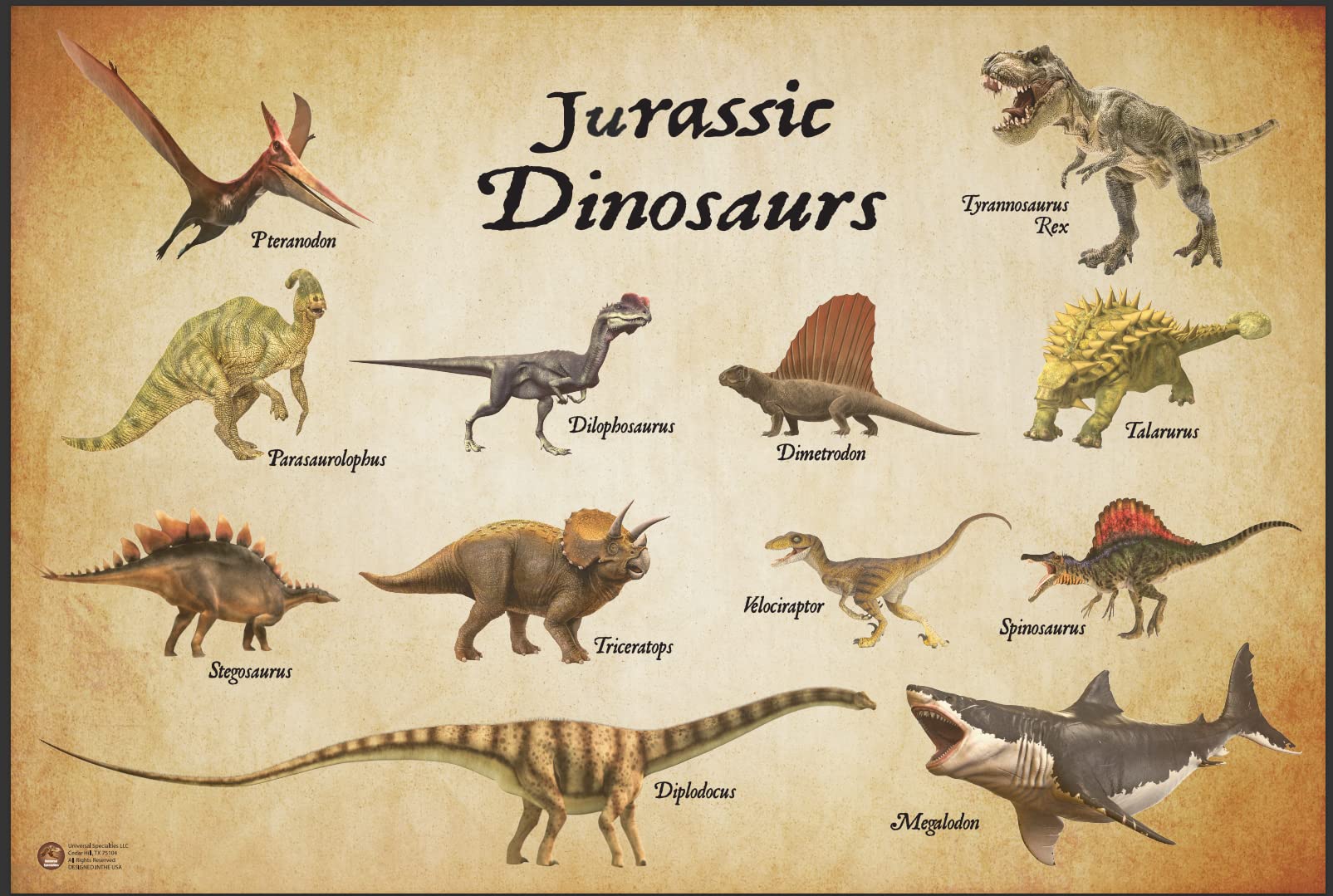 Dinosaurs types