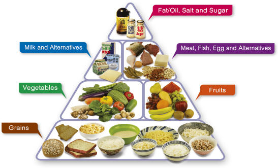 nurtition and food 