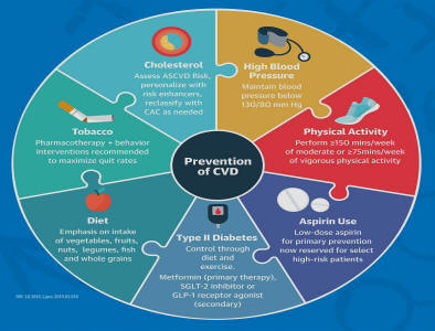 Prevention of CVD