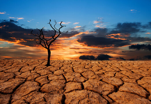 Long Lasting Droughts 
