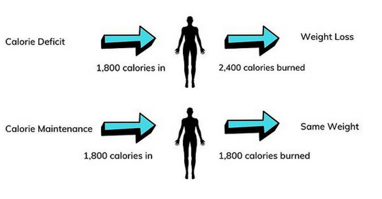 CaloriesIn/CaloriesOut