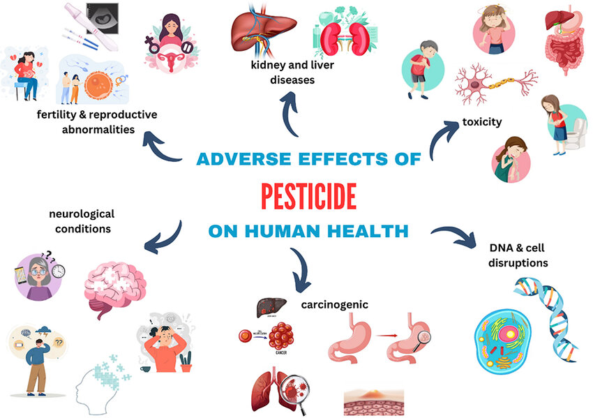 Impacts of pesticides on human health