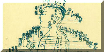 Holo map of the body
