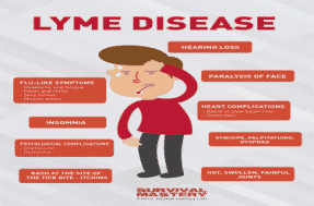 Lyme Disease