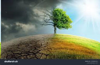 Climate Change Earth and Tree