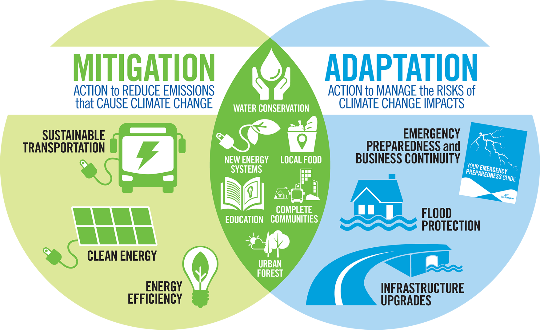 Migration Actions 