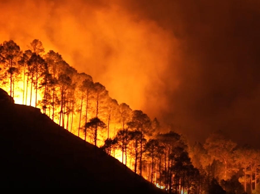 climate change