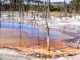 Acid Rain