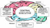 Long-Term Memory
