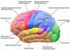 Sensory Memory