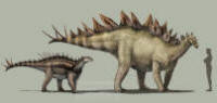 Thyreophorans