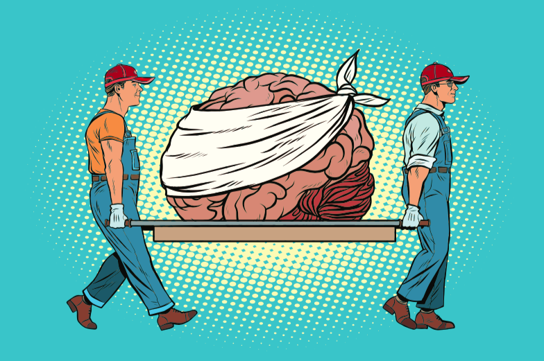 brain