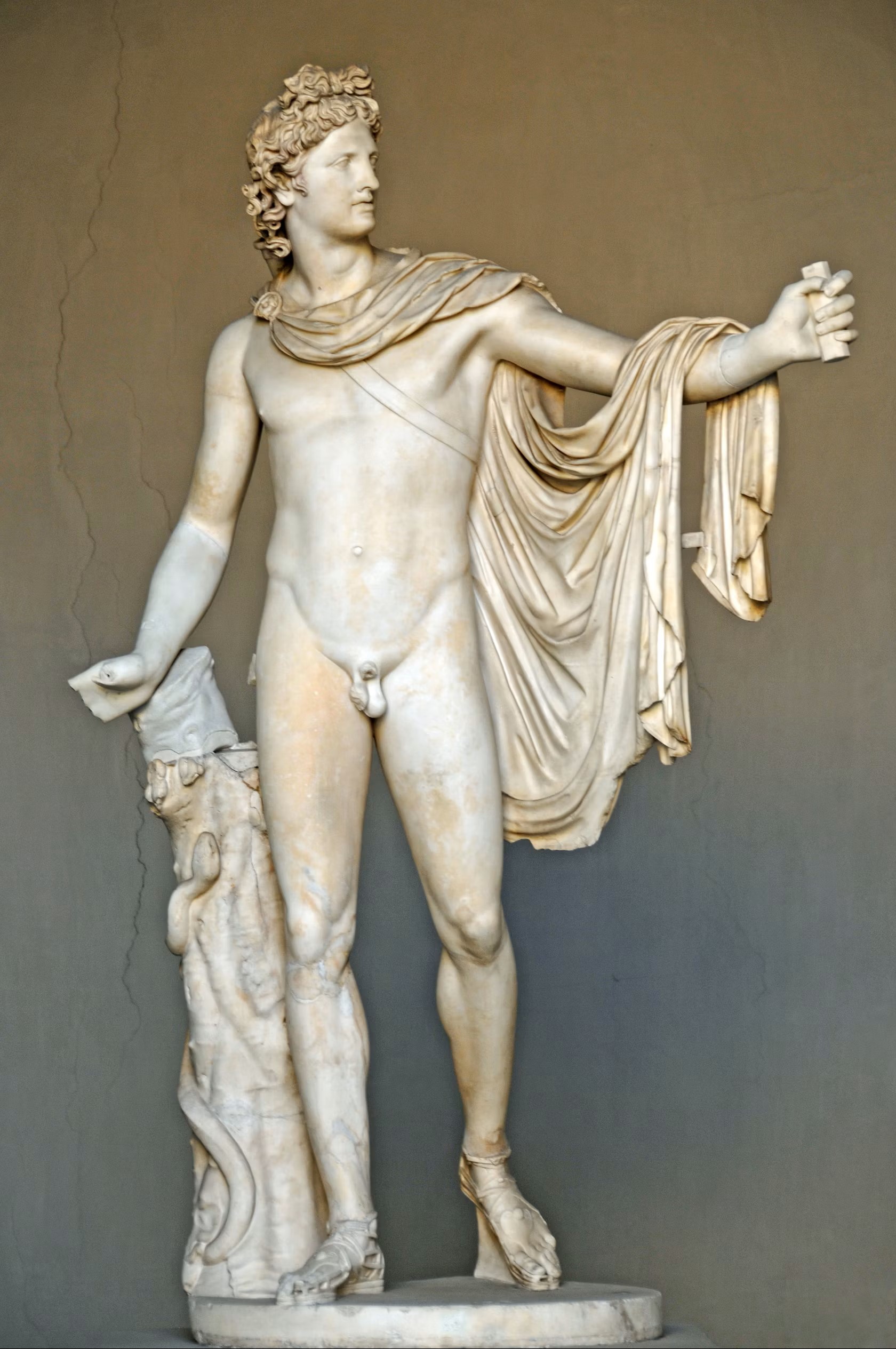 The Apollo Belvedere