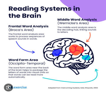 causes of dyslexia