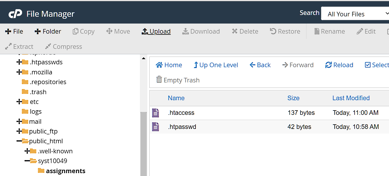 both htaccess and htpasswd appear in the assignments directory