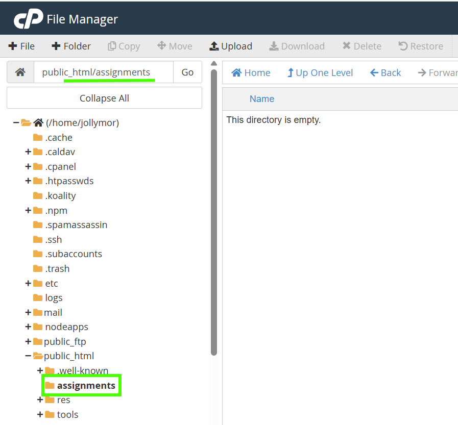 assignments is the current directory and it's empty