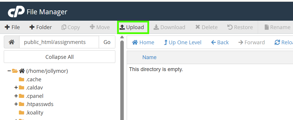 upload button in the top row of File Manager